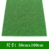 50×100 см