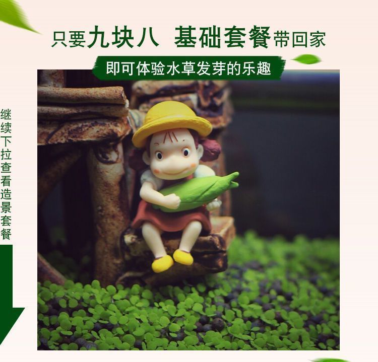 详情图