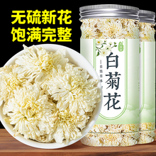 包邮菊花白菊花茶材散装贡菊花大花泡茶优选泡水喝