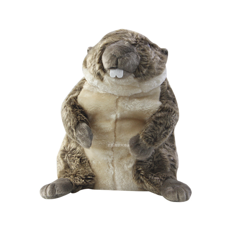 �߶���ͨ����һ��ľ���׼Ӻ�ë�޲��ʿɰ���Ȥ�����������ʸ���