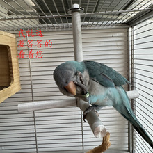 ҰľDL܇W^ƤĵҧĥצXϽվUB\ƷS