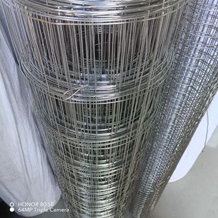 �S�����l��\���P����޾WĨ������䓽z�W�r�ܹ޺��ӾW늺��W��Ƭ