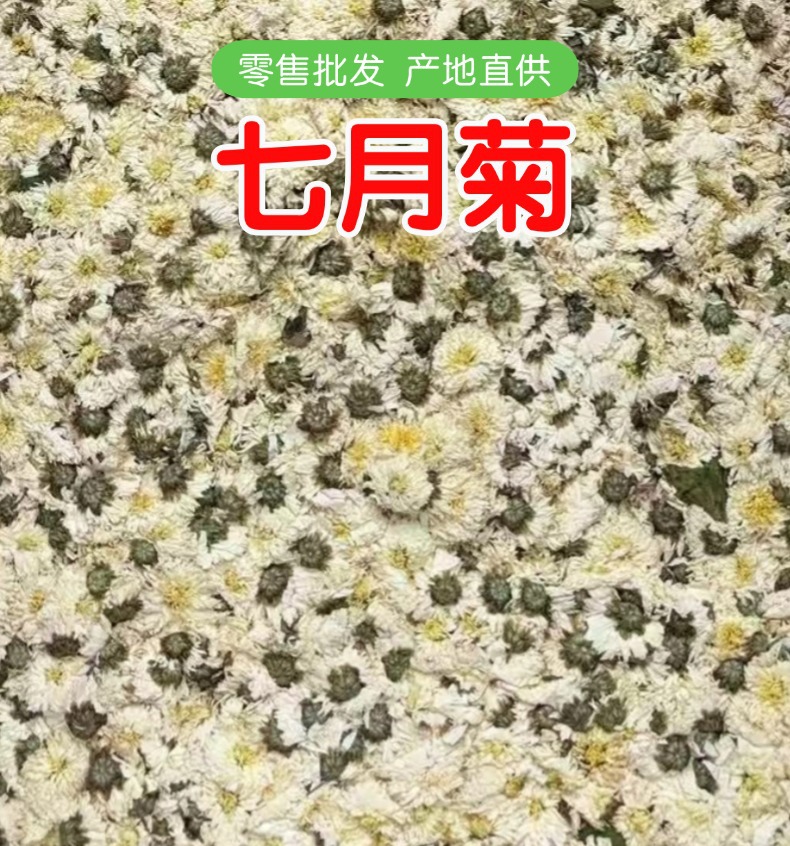 Dried July Chrysanthemum Flower Tea 500g Loose White Chrysanthemum for Herbal Infusion overview