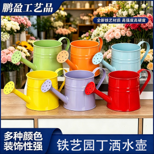 �羳�ǹ�ɫ�@���Fˇ��ˮ�� ���l�ɝ�ˮ�ػ����r�������廨��ˇ�[