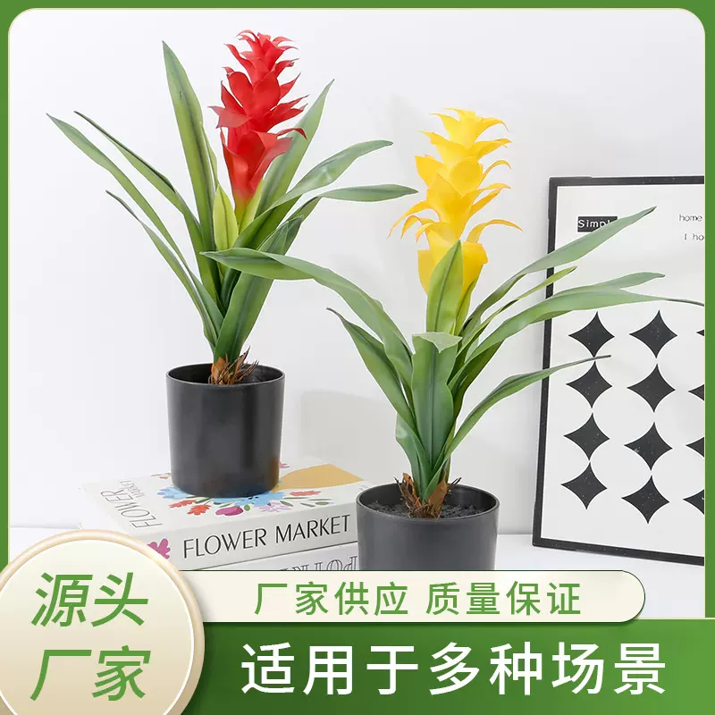 鸿运当头办公室仿真红心花卉绿植大型凤梨阳台假绿植盆景批发