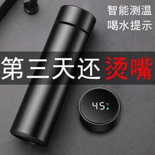 ���ܱ��ر���Ů304���P��̄�ˮ����y�^�V�ݲ豭��500ml�����S��