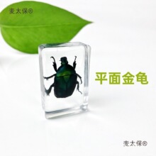 �����x�˱�͸����֬�[���׃��@�̌W���֩���ϐ�ӽ��s����̫��