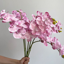 ���ָЎ���7�^�����m ���滨�͏d�b[���ٻ����Ƶ��c��������