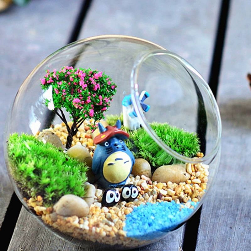 Креативный подарок мох микро пейзаж стеклянная бутылка костюм офис зеленое растение DIY мини Горшечное растение оптом