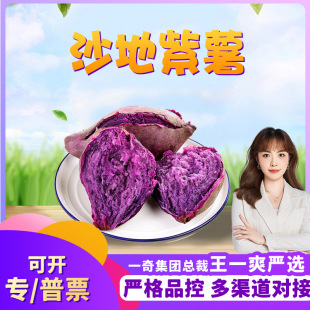 �����x���V�|���� ���l3/9�����rܛŴ���_�m�ع��������푪���߲�
