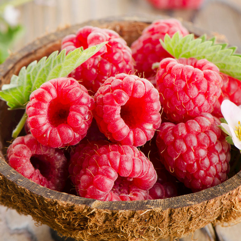 29265454_081738912126_2_副本