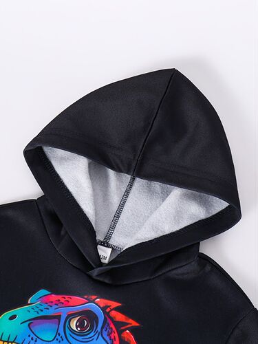 INS Infant, baby boy, spring and autumn style, fleece hooded cartoon dinosaur print, long-sleeved top, trousers, trendy