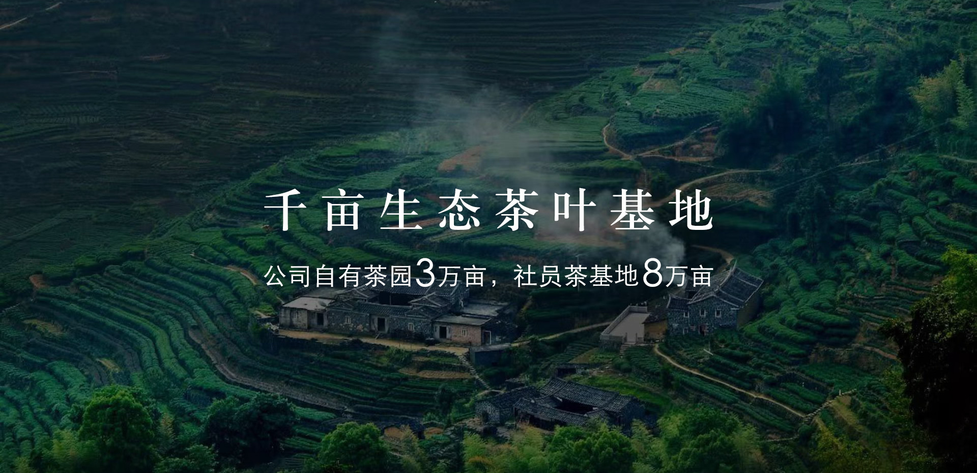 康士力千亩生态茶业基地