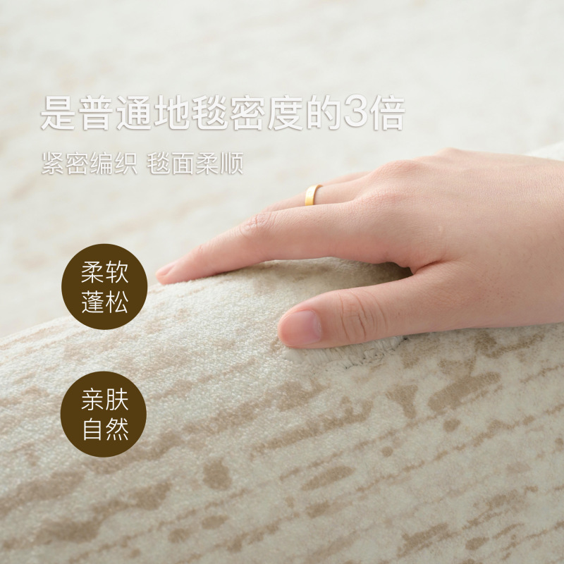 地毯客厅2025新款意式极简风卧室轻奢高级感沙发免洗房间防水垫|undefined