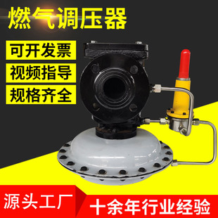 ȼ���{������Ȼ��p���y�T���IRTJ-GK DN50��Ȼ��p���b�ÏS��
