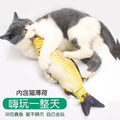 猫のミントの魚は猫のおもちゃをからかいます。