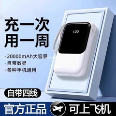 No.2 2025年新作 コンパクトで持ち運びに便利なフラッグシップストアに最適なケーブル付属