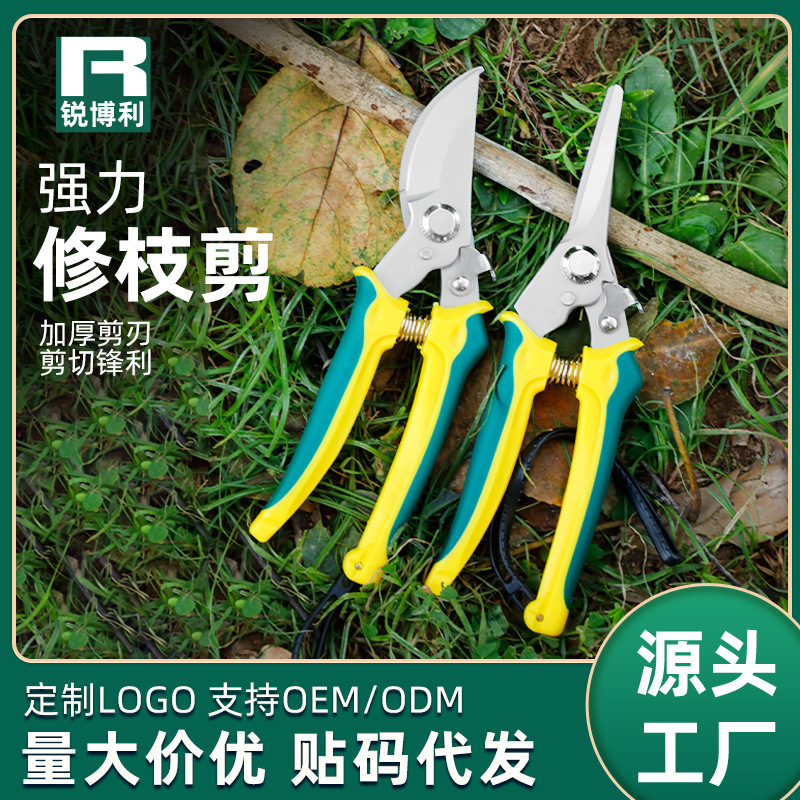 厂家批发修枝剪不锈钢果枝剪粗枝家用省力园林花卉剪盆栽剪带手绳