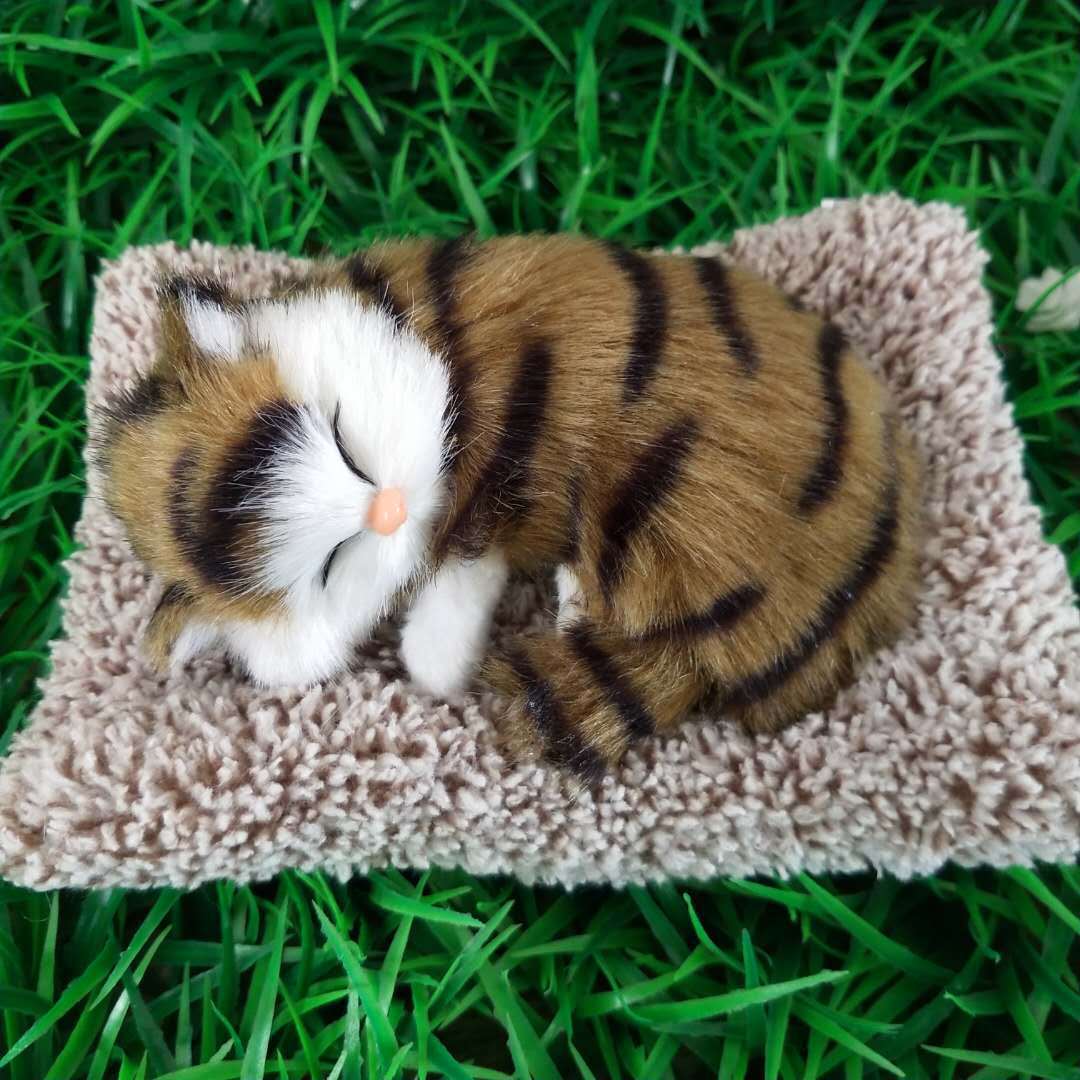 adornos de automóviles