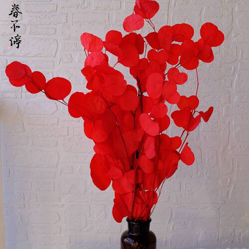 Preserved flower apple leaf manufacturer wholesale apple leaf round leaf eucalyptus preserved flower dried flower bouquet home decoration