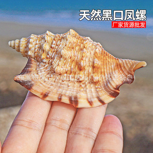 ��β�ڿ��P����Ȼ����ؐ���~���쾰�����b[�������ղضY�����l