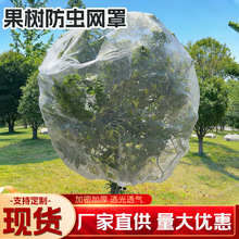 农用大棚防虫网果树花卉防虫网罩40目60目养殖围网纱网防鸟网批发