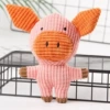 Little Pig