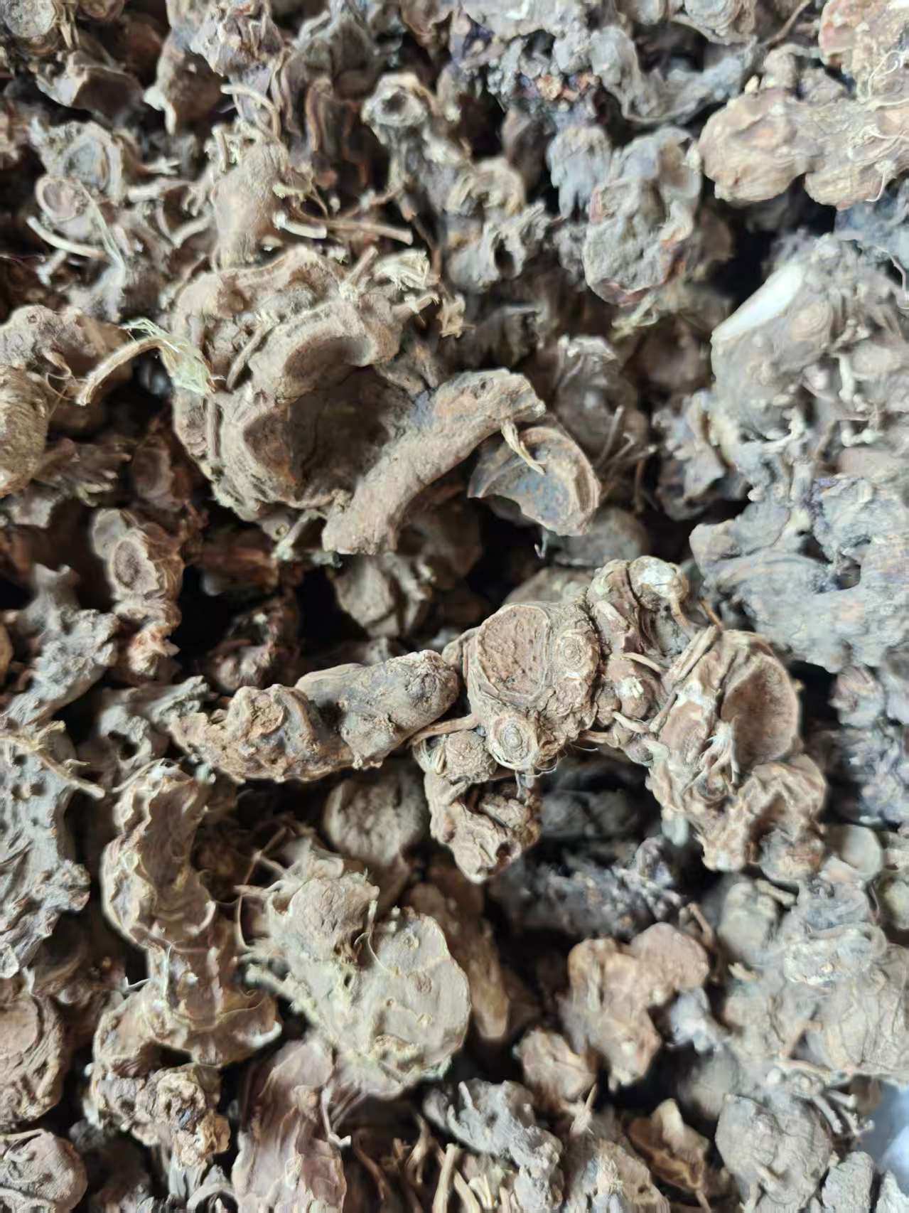 Ba Jiao Lian (Dysosma versipellis) — Dried Chinese Herbal Rhizome, 500g in use