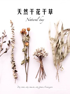 ins��Ȼֲ��ɻ��ɘ��~֦���ՔzӰ�����Ʒ�b���[�ĵ��ߔ[��