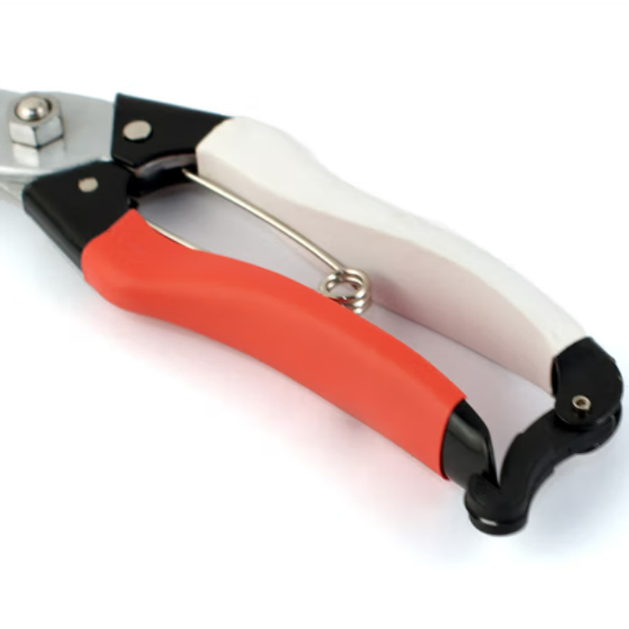 P168凯姿 KAZZ凯姿修枝剪园艺枝条修剪树枝剪刀工具果树