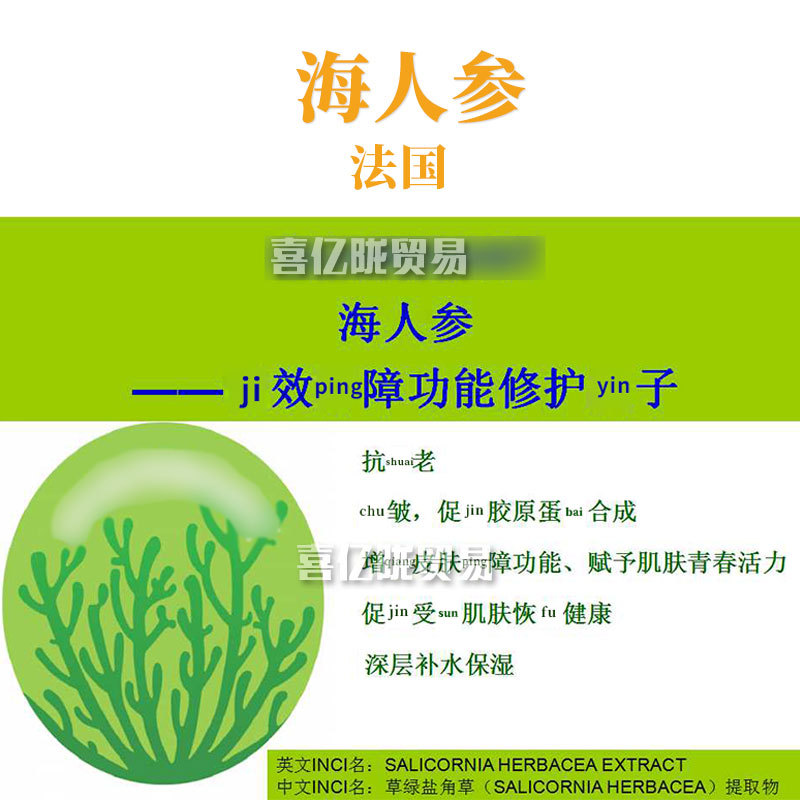 法国 海人参 草绿盐角草提取物 化妆品原料 100g
