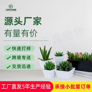 ����Gֲ��������ֲ��ҾӔ[�O�b�DIY���滨�羳���ϾGֲС�辰