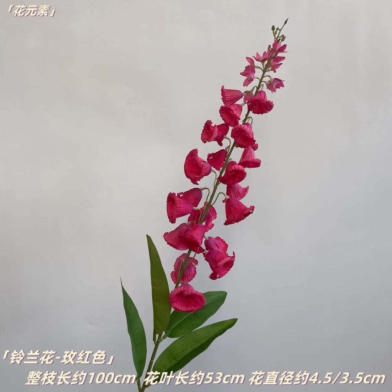 로즈 레드