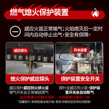 燃气炒货机商用全自动糖炒板栗多功能炒花生瓜子机炒干果立式机器