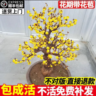 �D÷�����Ԙ��煲�����dͥԺ�L�����ͺ��t÷�����Ϙ�ԭ������Ϟ÷
