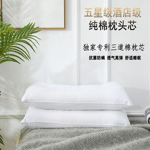 Three-Layer Cotton Buckwheat Pillow Adult Sleep Aid Pillow Patented Product Machine Washable 40*70 Source Manufacturer Multi-Functional