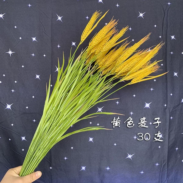 Thirty pornography of the wheat