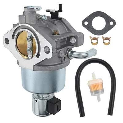 592952 Carburetor 33R877 Carburetor