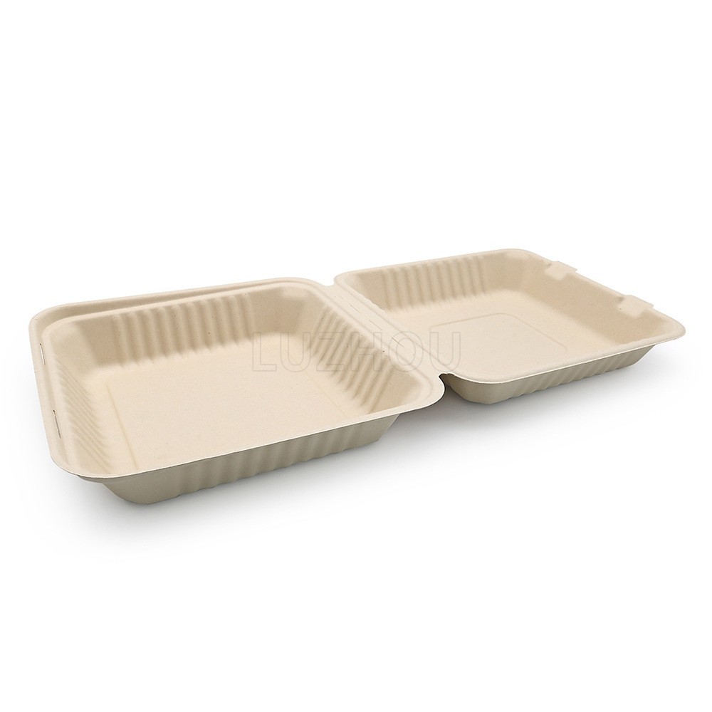 9 pulgadas de pulpa de bambú compostable biodegradable sin caja de comidas de grado alimenticio caja de bloqueo ecológica cubierta desechable