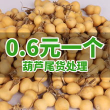 批发处理小葫芦形态各异葫芦尾货处理有瑕疵小葫芦手捻素葫芦