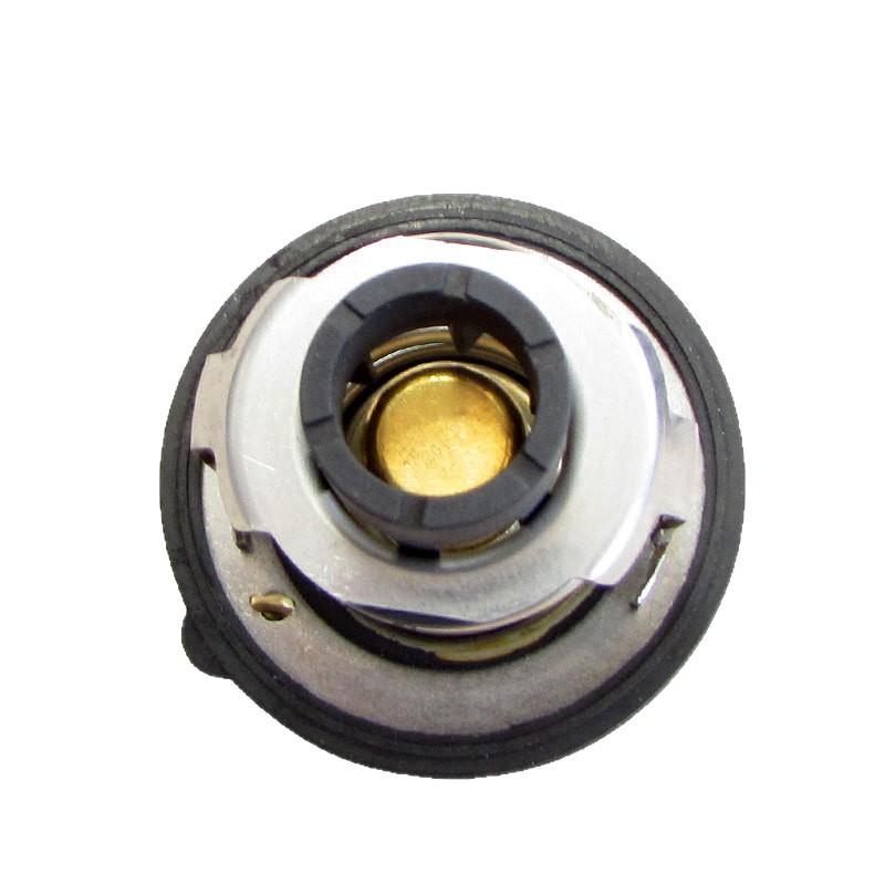 Directly from the Source Factory, In-Stock Supply Suitable for Mazda Cx-3 Cx-5 Cx-8 Thermostat P50215171