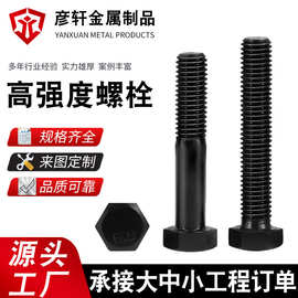高强度螺丝 发黑螺丝厂家批发8.8级螺栓六角螺栓现货供应