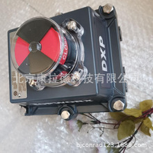 TOPWORX DXP-T21GNEBλλ_PFLOJET  P25/2 PT113951