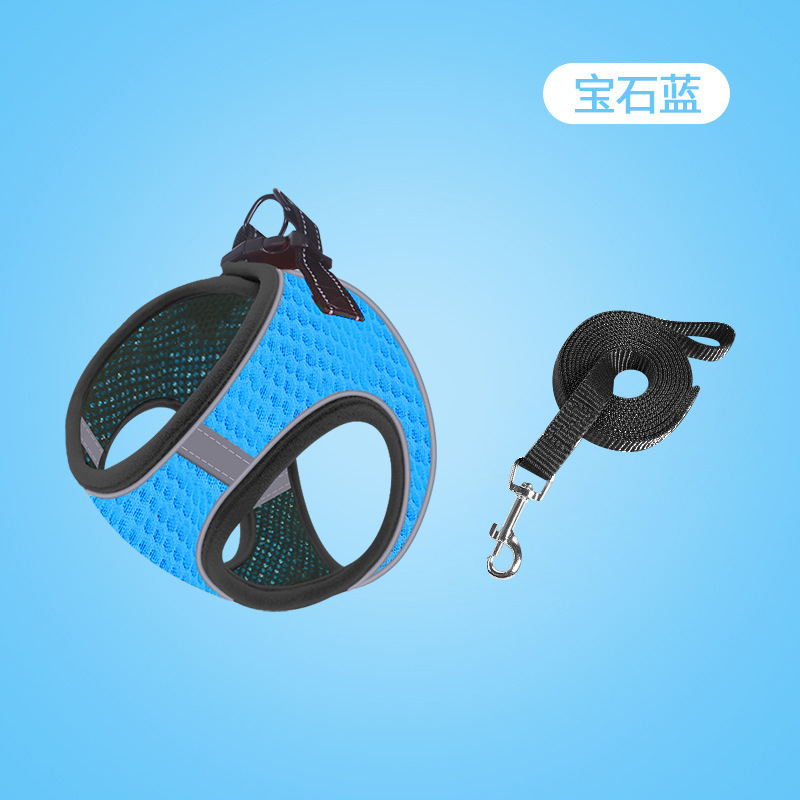 Conjunto de correa de pecho azul