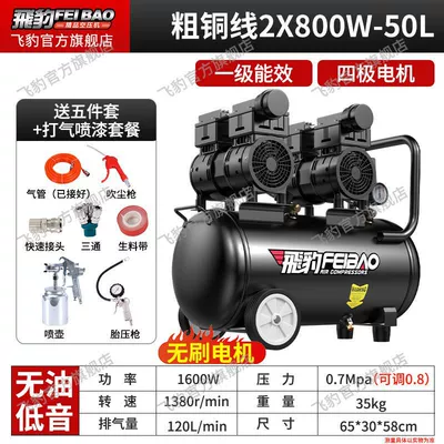 Hava kompressorları | Feibao Air Pump 220v Household - thick-copper-wire-2x800w-50-liters-of-air-spray-paint