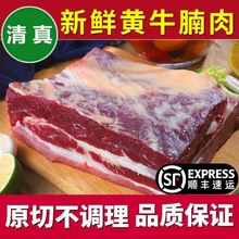 新鲜牛腩肉原切不调理品质大块黄牛腩黄牛肉散养清真厂家厂家直销