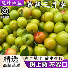 ������r���������ЋDˮ��10������紺���A�����������������l