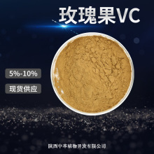 玫瑰果VC 5%~10% 玫瑰果维生素C粉 水溶玫瑰果VC粉 玫瑰果提取物