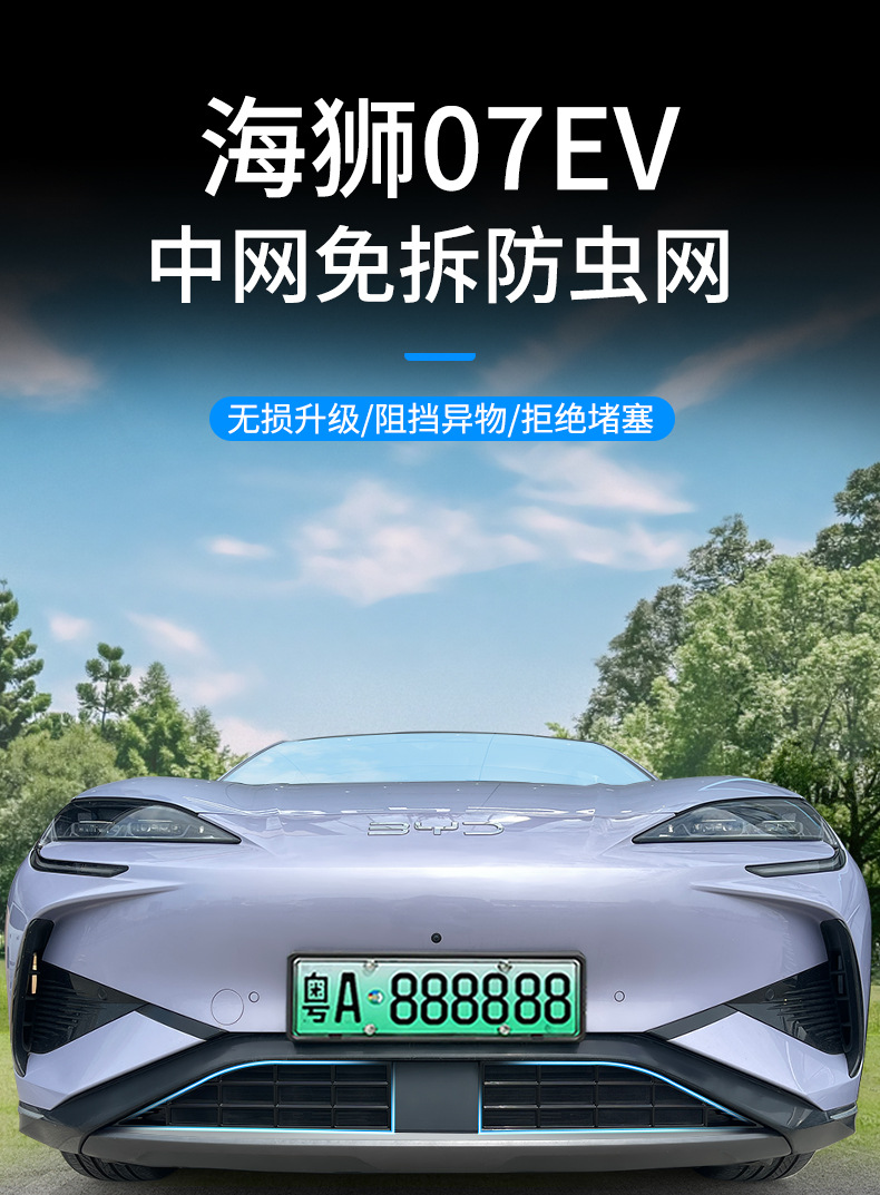 Suitable for sea lion 07ev extended range version car insect net front face net special modified decorative strip car supplies