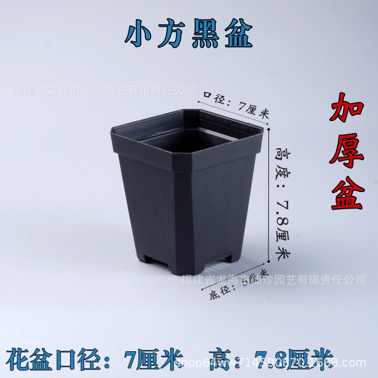小黑盆.jpg
